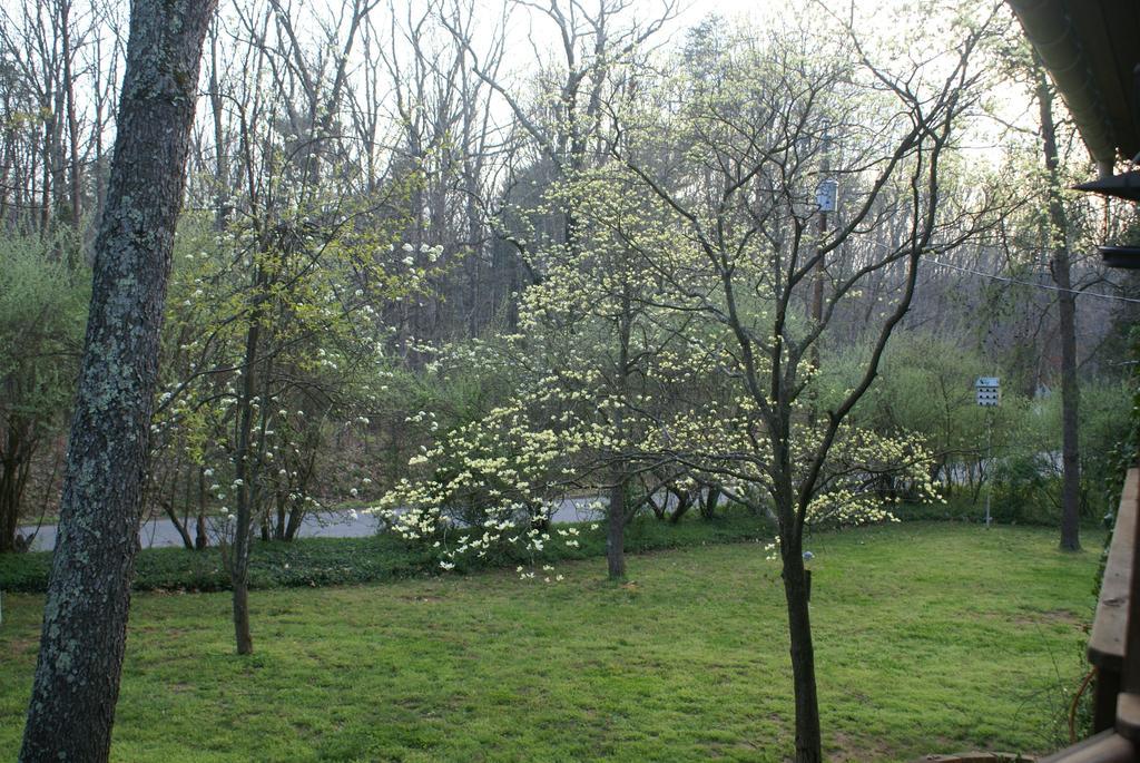 Ebenezer House Bed & Breakfast Burtonsville Ngoại thất bức ảnh